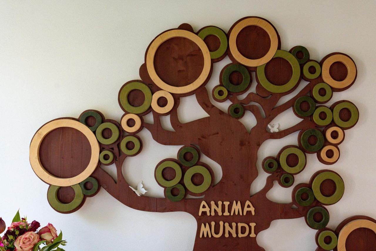 Bed and Breakfast Anima Mundi Curtatone Экстерьер фото