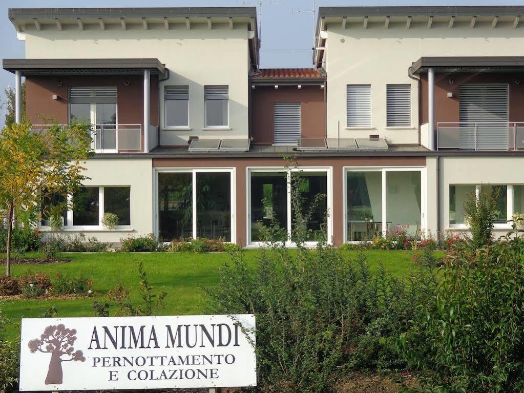 Bed and Breakfast Anima Mundi Curtatone Экстерьер фото